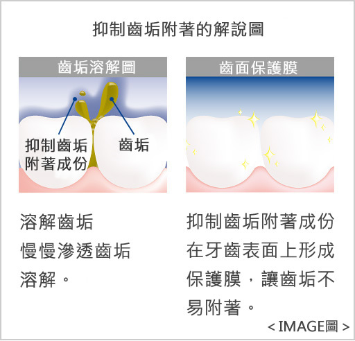 抑制齒垢附著的解說