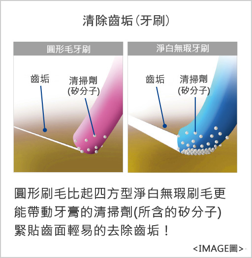 清除齒垢(牙刷) 圓形刷毛比起來四方型淨白無瑕刷毛更能帶動牙膏的清掃劑(所含的矽分子)，緊貼齒面輕易有效的去除的齒垢！