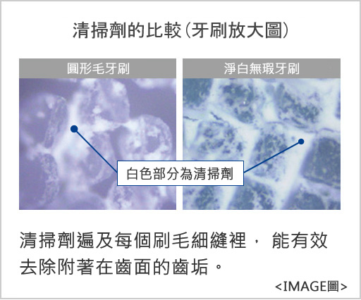 清掃劑的比較(牙刷放大圖) 清掃劑遍及每個刷毛細縫裡能有效去除附著在齒面的齒垢