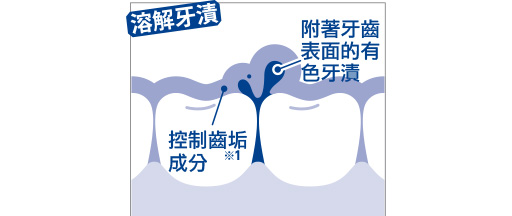 控制齒垢成分（溶解劑）能深入溶解附著牙齒表面的有色牙漬。 