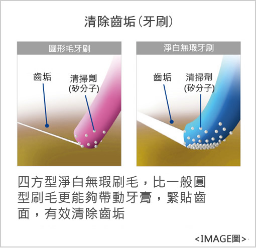 清除齒垢(牙刷) 四方型淨白無瑕刷毛，比一般圓型刷毛更能夠帶動牙膏，緊貼齒面,有效清除齒垢