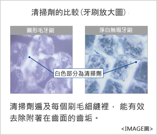 清掃劑保持的比較(牙刷放大圖) 清掃劑遍及每個刷毛細縫裡， 能有效去除附著在齒面的齒垢