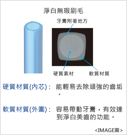 淨白無瑕刷毛 硬質素材：硬質材質(內芯)能輕易去除頑強 軟質材質(外圍)： 容易帶動牙膏，有效達到淨白美齒的功能。