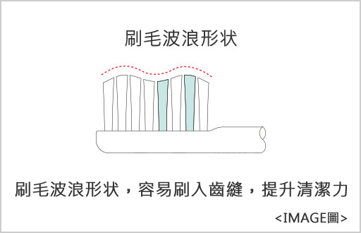 刷毛波浪形形状 刷毛波浪形状，容易刷入齒縫、提升清潔力