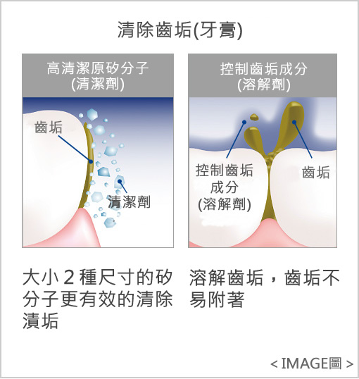 清除齒垢(牙膏) 大小２種尺寸的矽分子更有效的清除漬垢